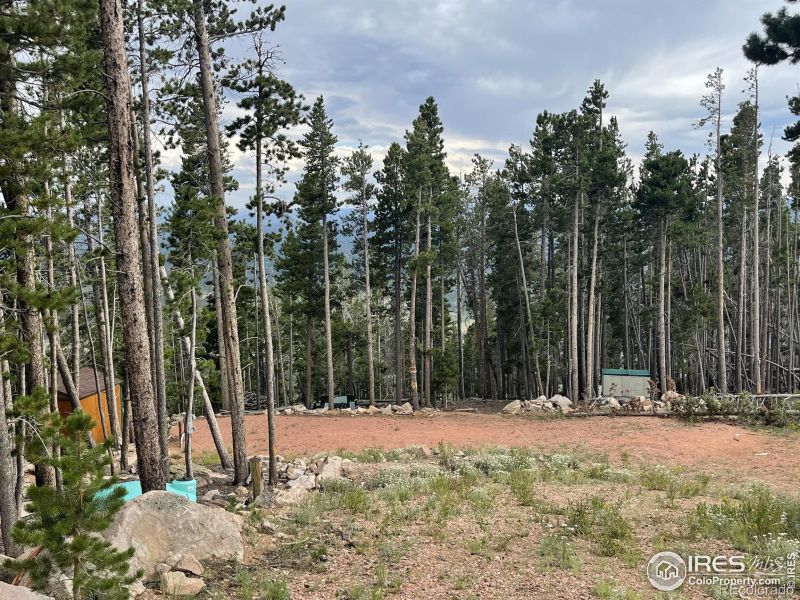 297 Chickasaw Ct, Red Feather Lakes, CO 80545