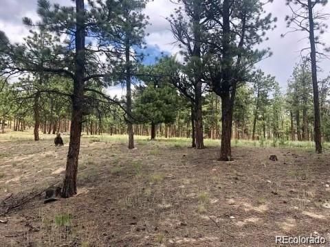 16805 Pine Grove Pw, Buena Vista, CO 81211