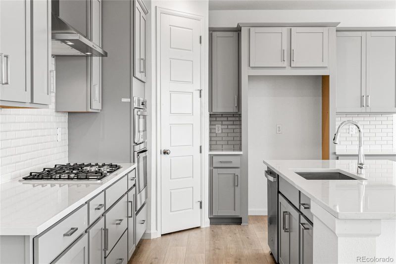 8848 Whiteclover St, Littleton, CO 80125