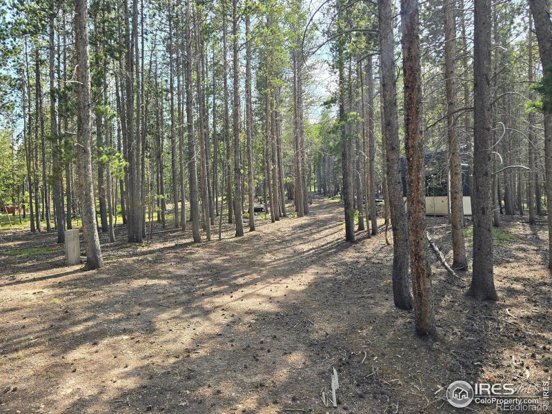 547 Ottawa Way, Red Feather Lakes, CO 80545