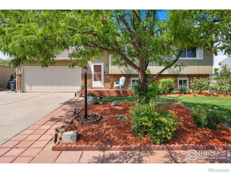 833 Banyan Ct, Loveland, CO 80538