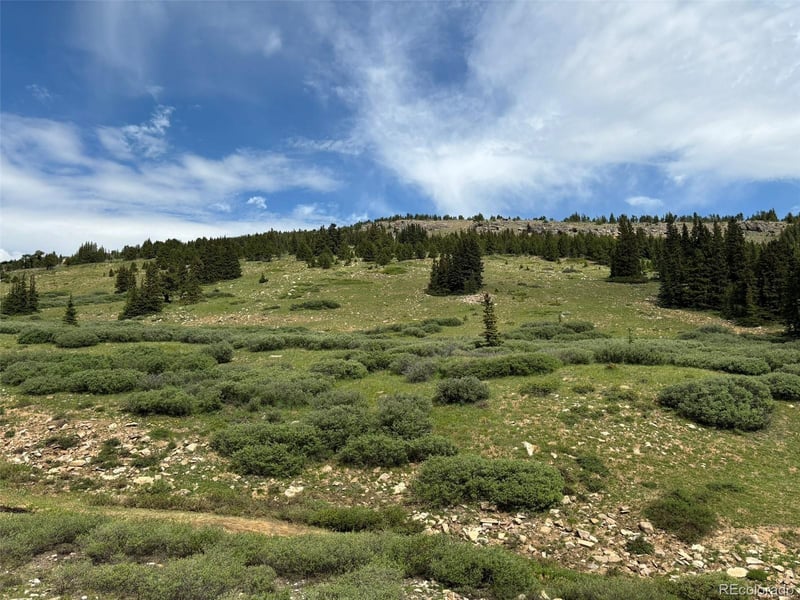 00 Alvin Silver Cave Little Ida, Fairplay, CO 80440
