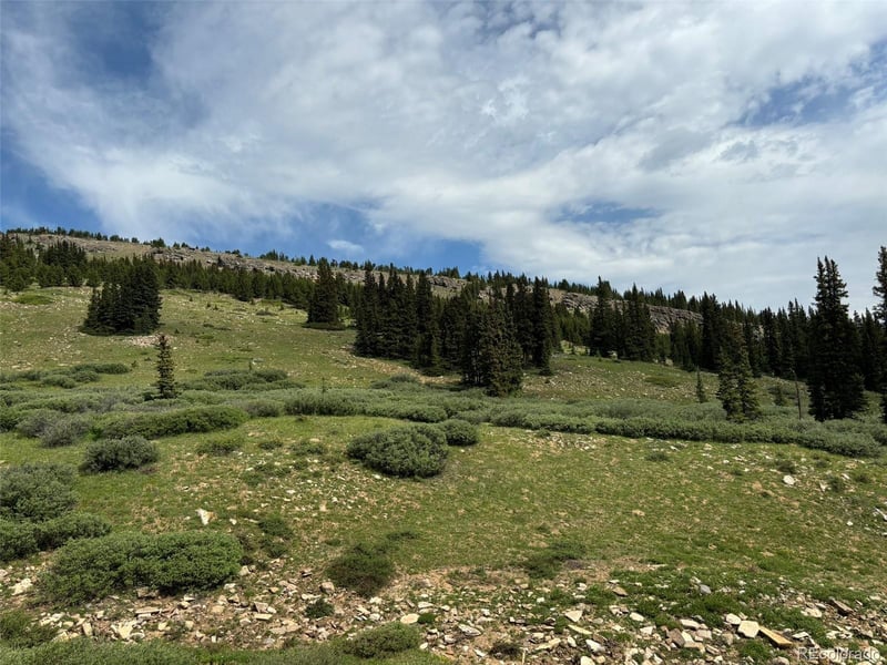 00 Alvin Silver Cave Little Ida, Fairplay, CO 80440