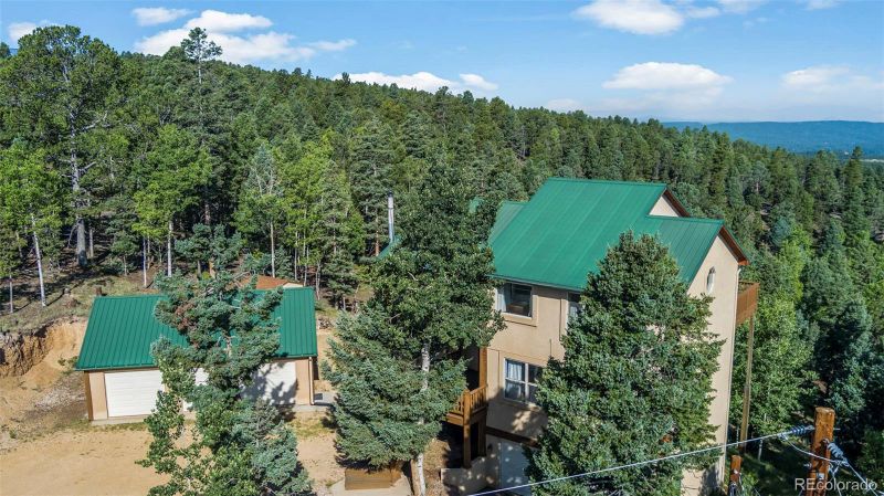 557 Potlatch Trl, Woodland Park, CO 80863