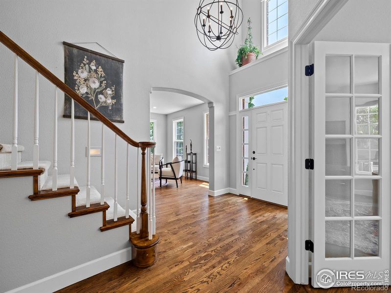 217 Cattail Bay, Windsor, CO 80550