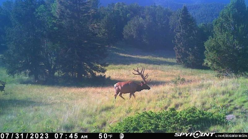 Tbd Cr 575 1, Gardner, CO 81040