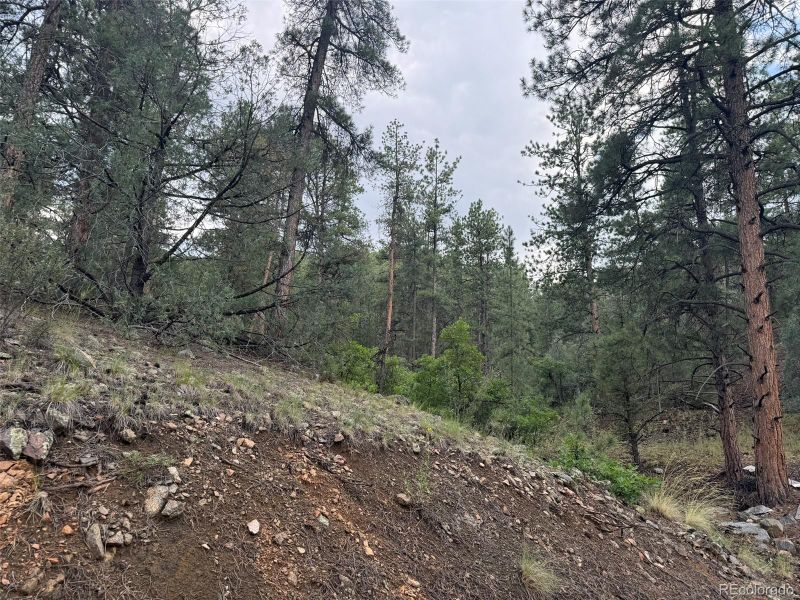 0 County Road 28, Cotopaxi, CO 81223