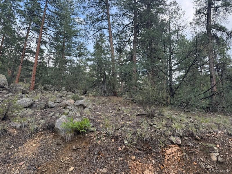 0 County Road 28, Cotopaxi, CO 81223