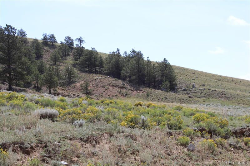 120 Cr 11, Hartsel, CO 80449