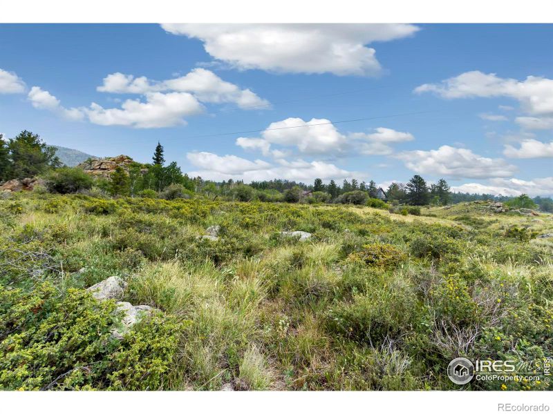 342 Navajo Rd, Red Feather Lakes, CO 80545