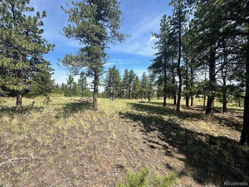 2743 Wagon Wheel Rd, Hartsel, CO 80449