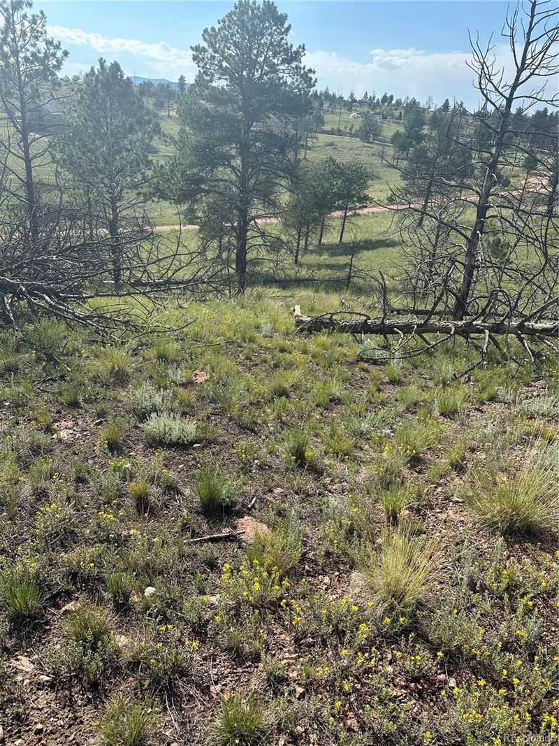 53 Chateau West Cir, Florissant, CO 80816