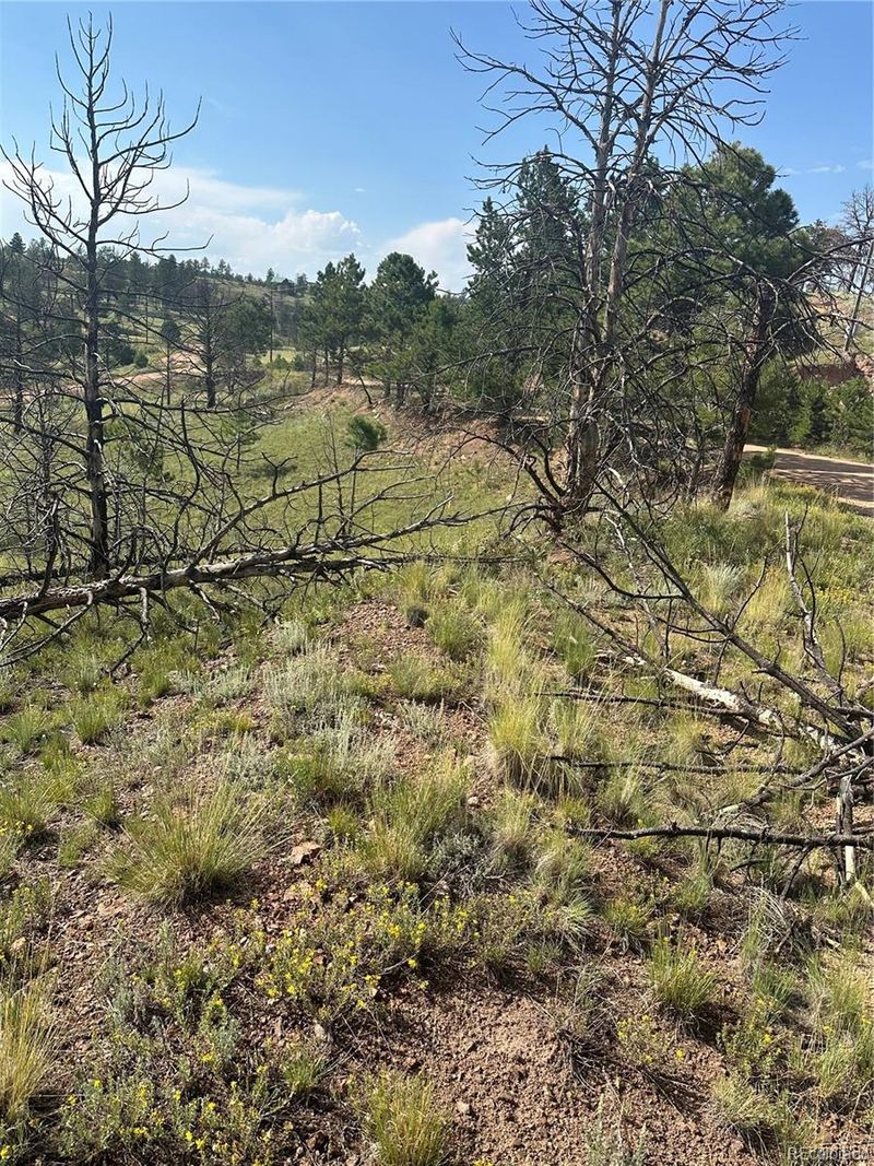 53 Chateau West Cir, Florissant, CO 80816