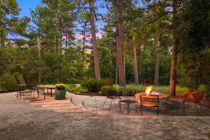 29 Castle Pines Dr, Castle Rock, CO 80108