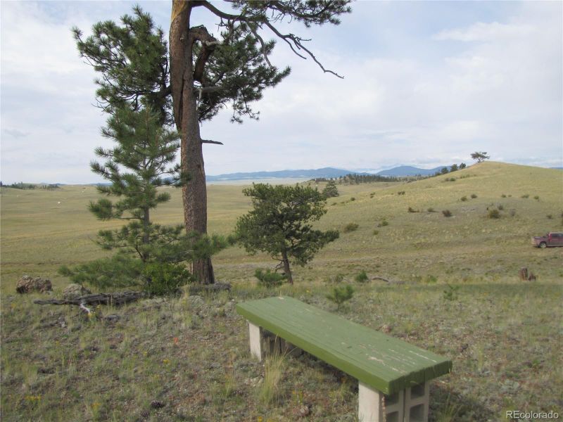 6022 Marca Monte Trl Lot 6022, Hartsel, CO 80449