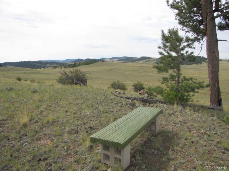 6022 Marca Monte Trl Lot 6022, Hartsel, CO 80449