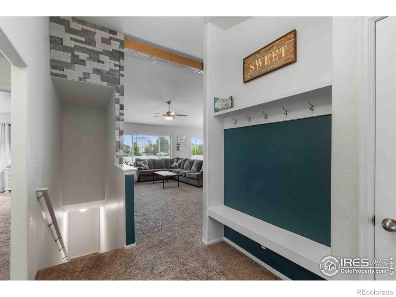 704 Takin Dr, Severance, CO 80550