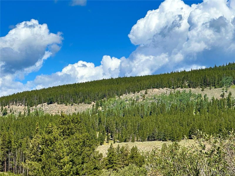 13776 Zion #3, Leadville, CO 80461