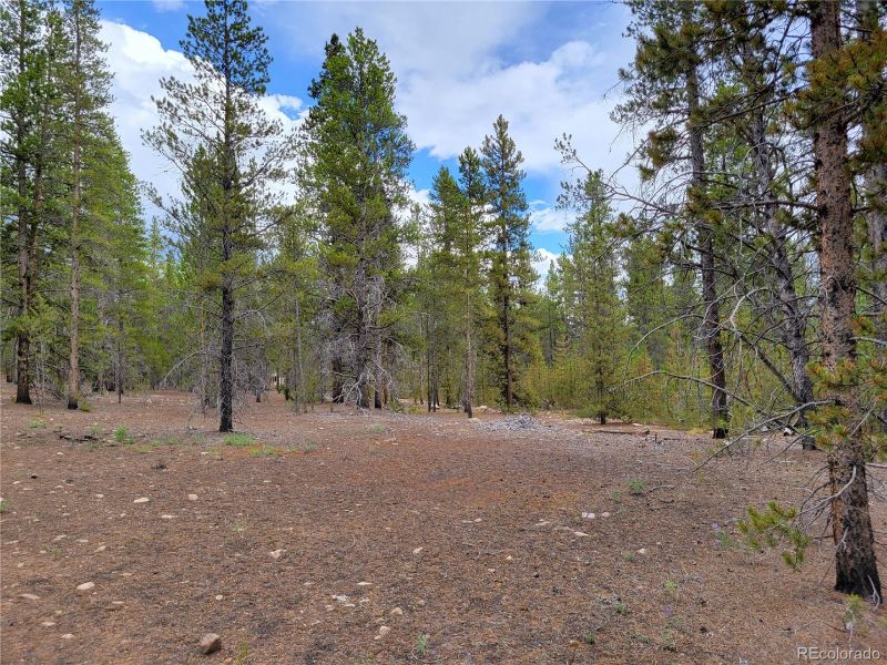 1099 County Road 4, Leadville, CO 80461