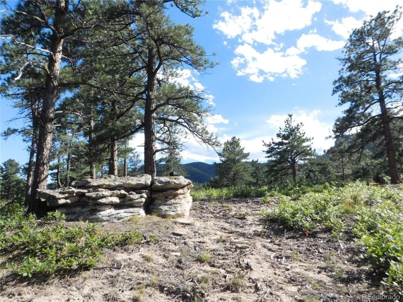 5985 Ottawa Ct, Larkspur, CO 80118