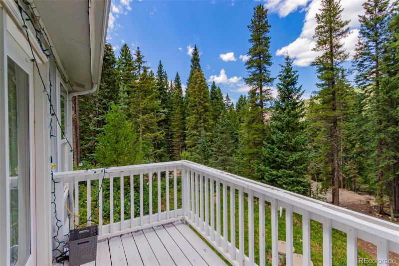 286 Ridgeview Trl, Idaho Springs, CO 80452