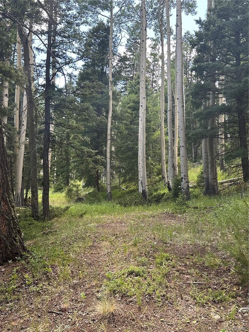 Calkins St, Jasper, CO 81132