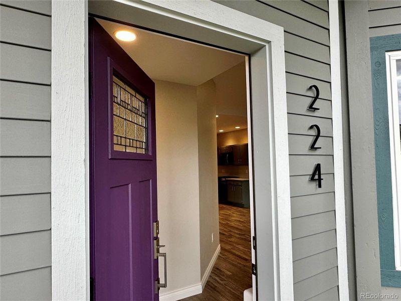 224 E 8th St, Leadville, CO 80461