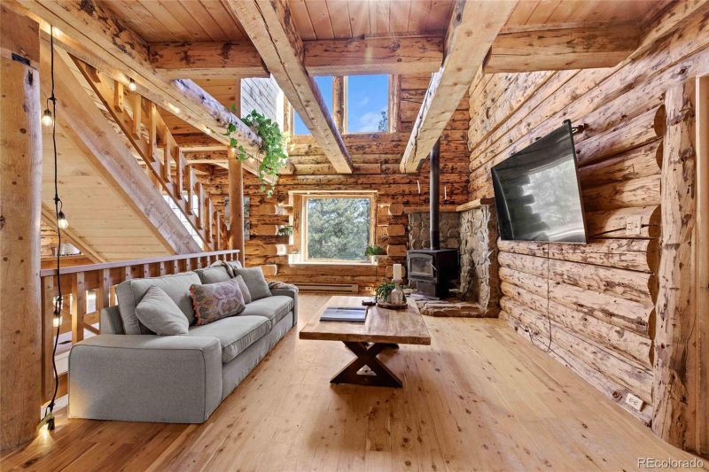 310 Holmes Gulch Rd, Bailey, CO 80421