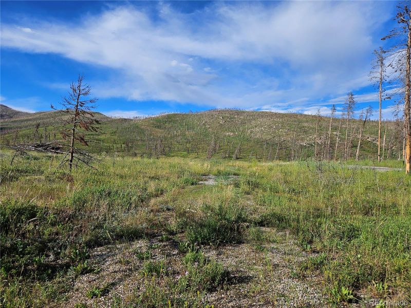 1469 County Road 452, Granby, CO 80446