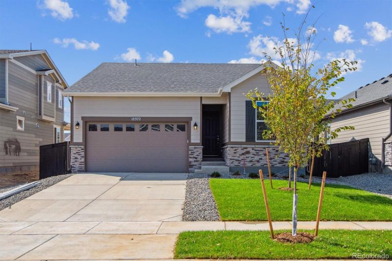 18972 E 97th Ave, Commerce City, CO 80022