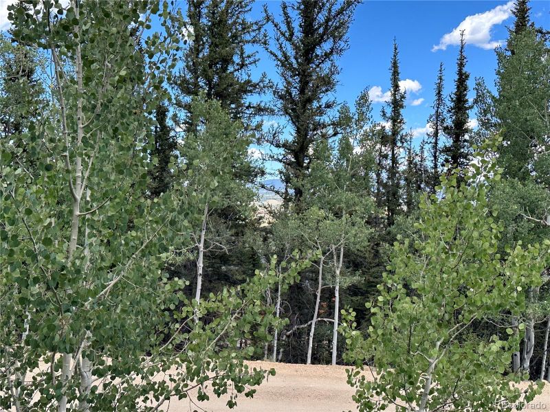0001 Apache Trl, Jefferson, CO 80456