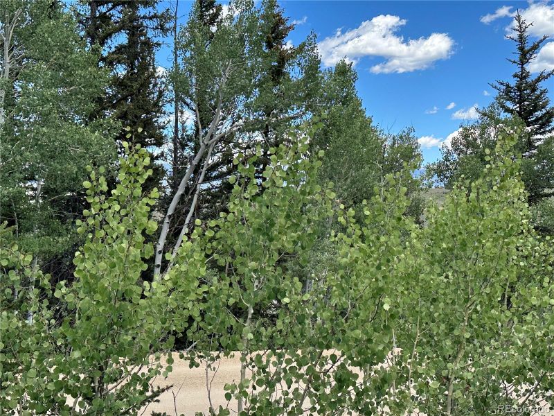 0001 Apache Trl, Jefferson, CO 80456