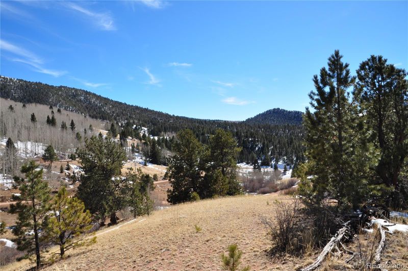 210 Wilson Dr, Cripple Creek, CO 80813
