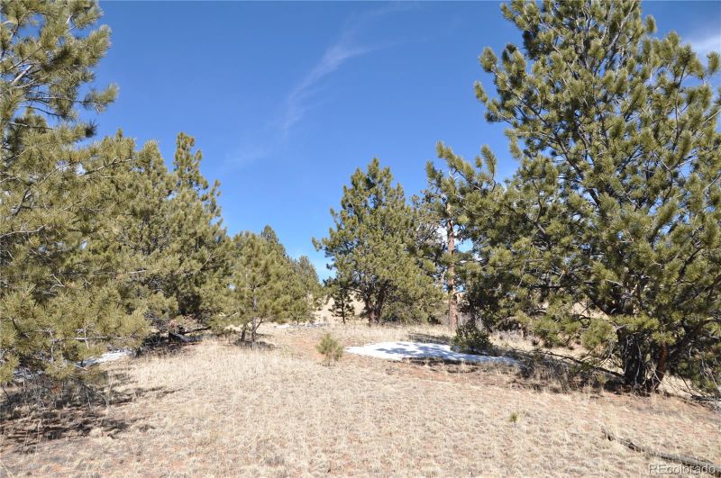 210 Wilson Dr, Cripple Creek, CO 80813