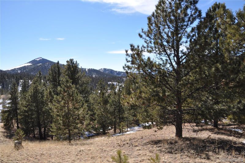 210 Wilson Dr, Cripple Creek, CO 80813
