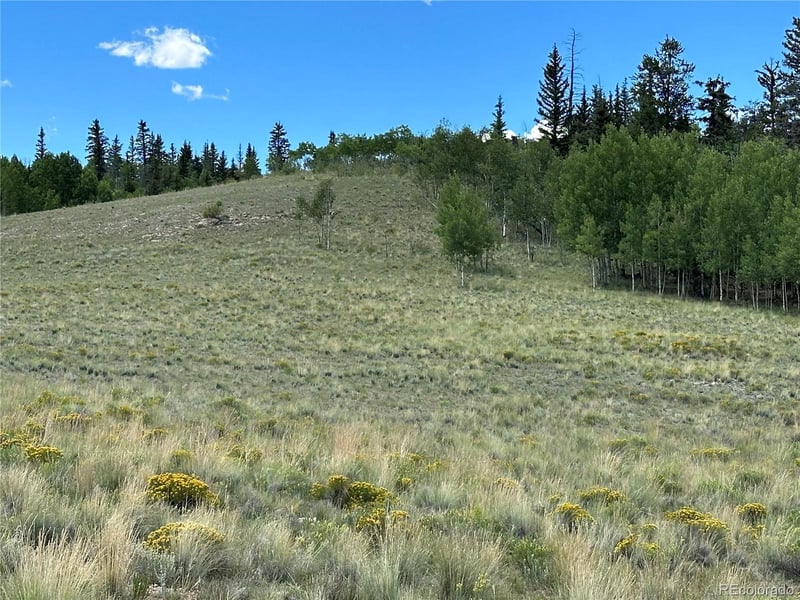 95 Wabeno Ct, Jefferson, CO 80456