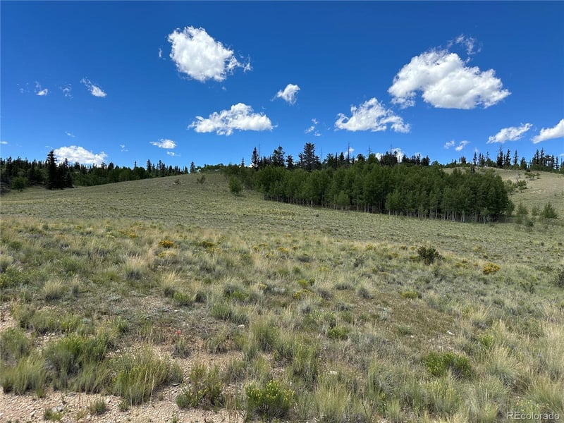 95 Wabeno Ct, Jefferson, CO 80456