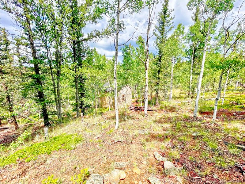 168 Wills Way, Jefferson, CO 80456