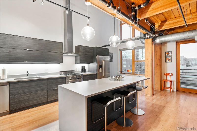 2955 Inca St #4A, Denver, CO 80202