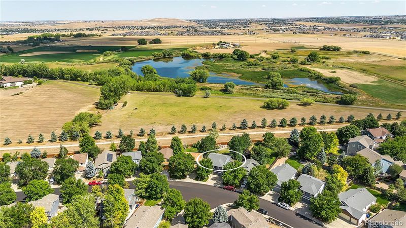 1749 Holeman Dr, Erie, CO 80516