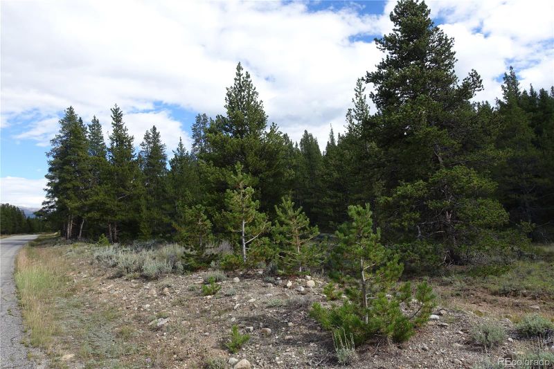 Parcel 2b County Road 9, Leadville, CO 80461