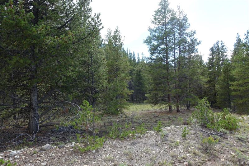 Parcel 2b County Road 9, Leadville, CO 80461