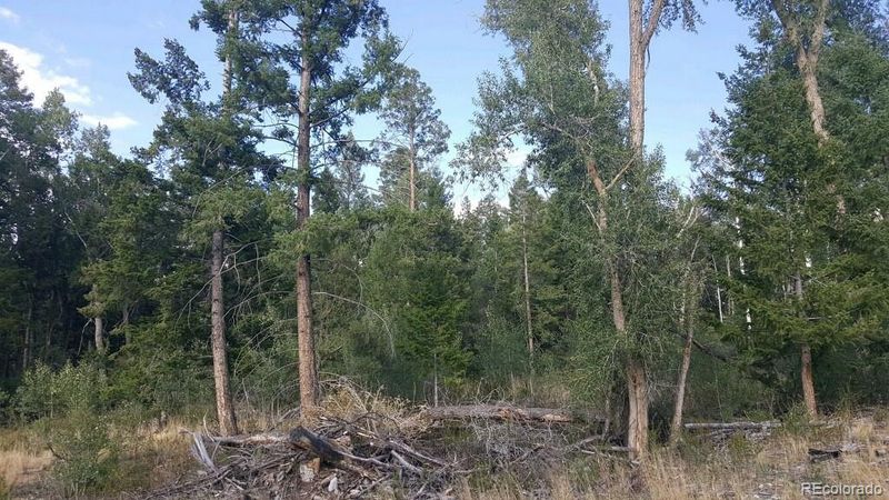 231 - 233 California Cir, Mosca, CO 81146