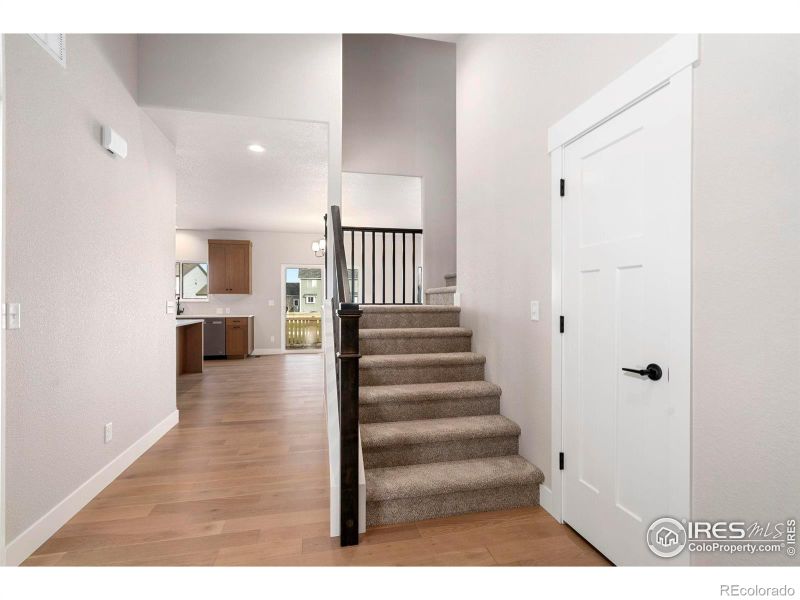 3288 Buffalo Grass Ln, Wellington, CO 80549
