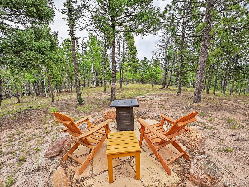 47 Aster Rd, Woodland Park, CO 80814