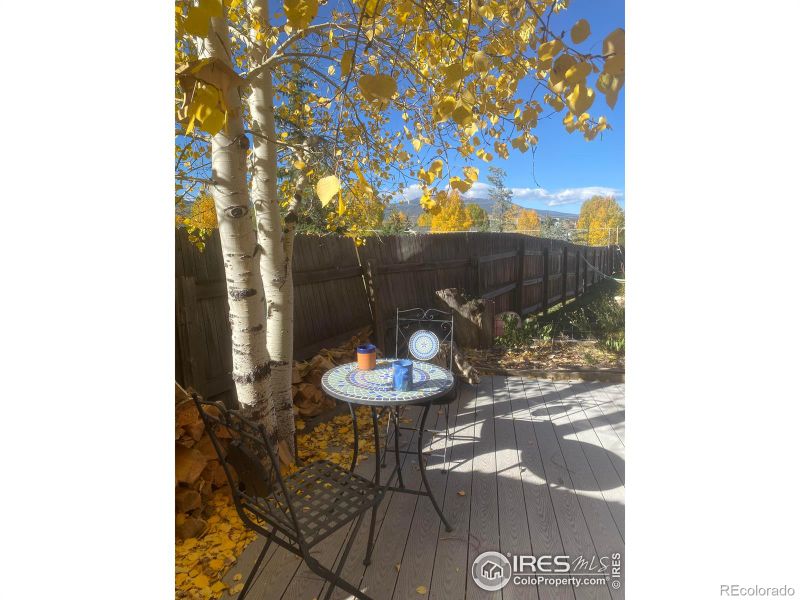 516 Fox Ln #B, Fraser, CO 80442