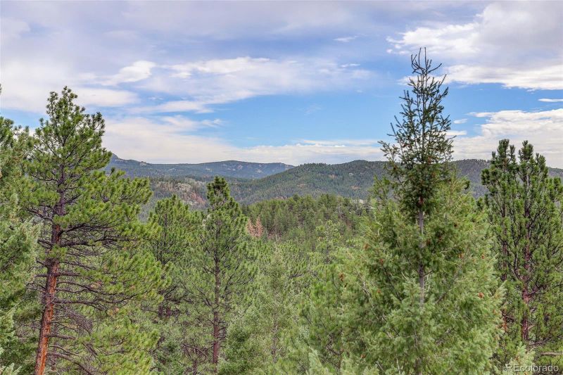 32304 Meadow Ridge Ln, Pine, CO 80470