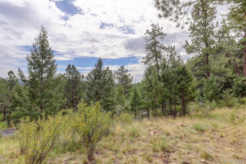 32304 Meadow Ridge Ln, Pine, CO 80470