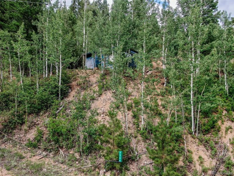 7366 County Road 43, Bailey, CO 80421