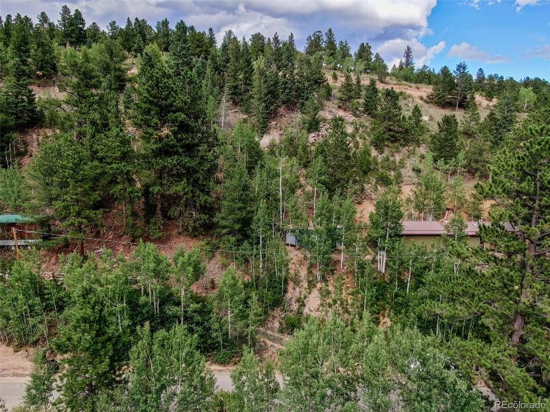7366 County Road 43, Bailey, CO 80421